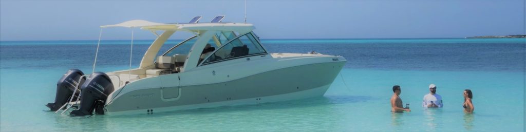 Private Charters – Harbour Safaris