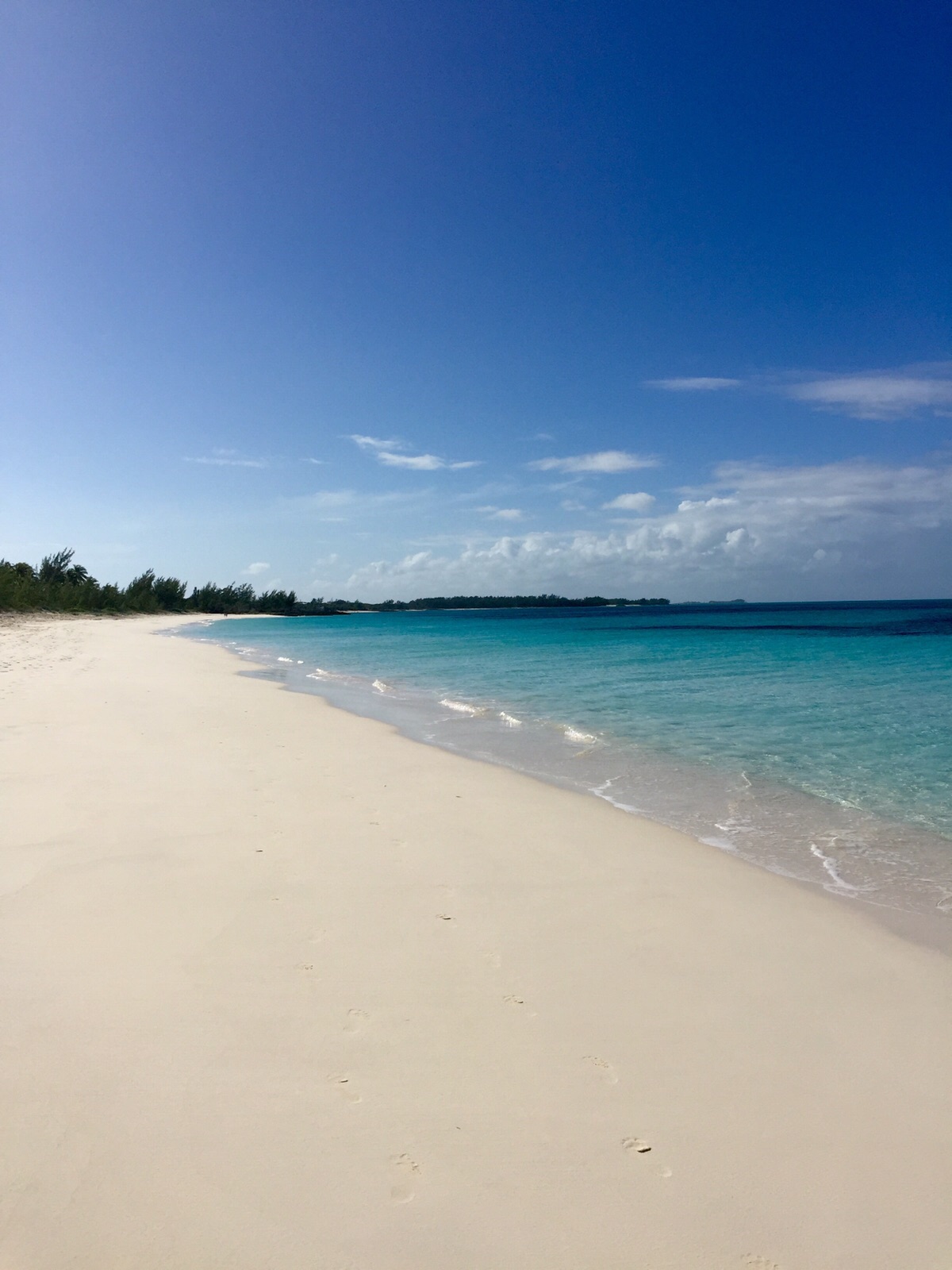 Rose Island beach